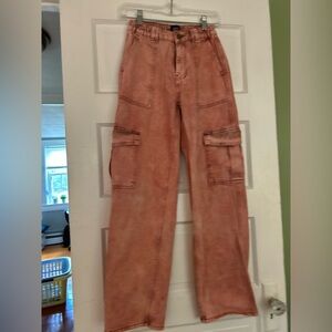 BDG Dusty Rose Cargo Pants skater pants